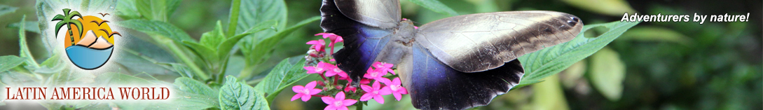  LOGO+text HeaderReise butterly � M.M.
