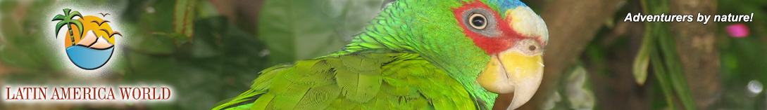 LOGO+text HeaderReise perico2 � M.M.