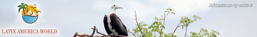 LOGO+text Header Vogelbeobachtung � M.M.